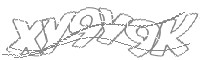 Check code