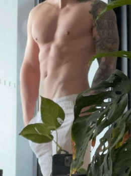 Maxim - Escort in Tbilisi - gender Male
